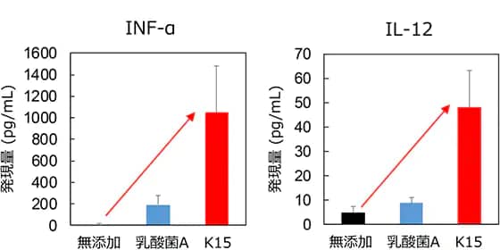 発現量（pg/mL）IFN-α：無添加…0→K15株…1000、IL-12：無添加…0→K15株…50