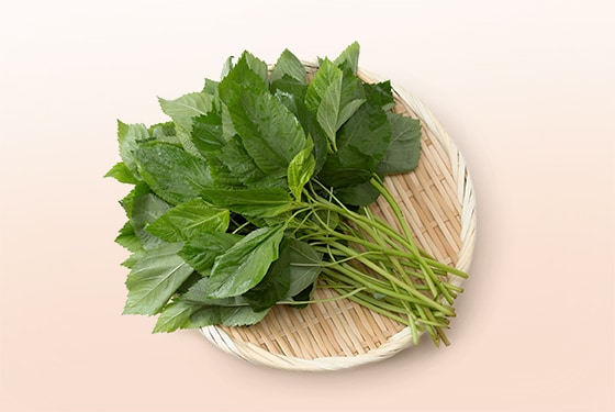 GlossaryEgyptianSpinach