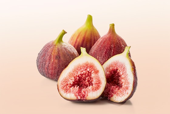 Fig