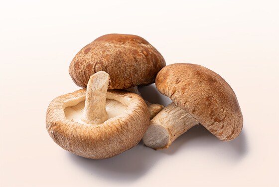 Shiitake mushrooms, Glossary