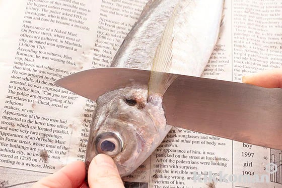 Place the knife behind the pectoral fin and make an incision in the direction of the head with the knife at an angle (parallel to the gills). Slice in approximately half-way and then turn the horse mackerel over and repeat in the same manner on the opposite side making an incision with the knife to chop off the head.