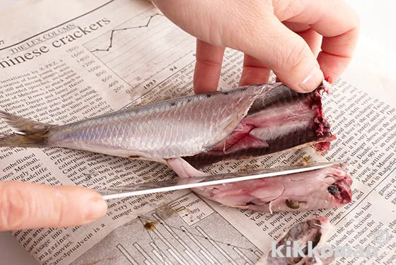 Cut away the edge of the belly from the head to the anal fin with a knife. Open the belly and use the knife to scrape out the innards.