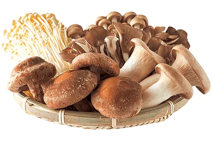 Japanese Mushrooms