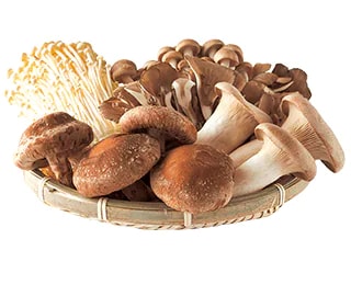 Japanese Mushrooms