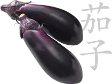 Japanese eggplant