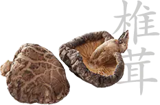 Shiitake