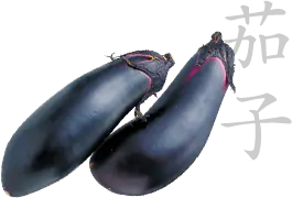 Eggplant