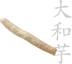 Japanese yam