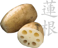 Lotus root