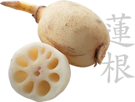 Lotus root