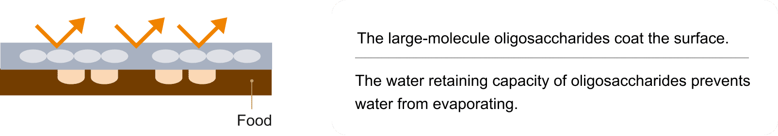 The large-molecule oligosaccharides coat the surface.The water retaining capacity of oligosaccharides prevents water from evaporating.