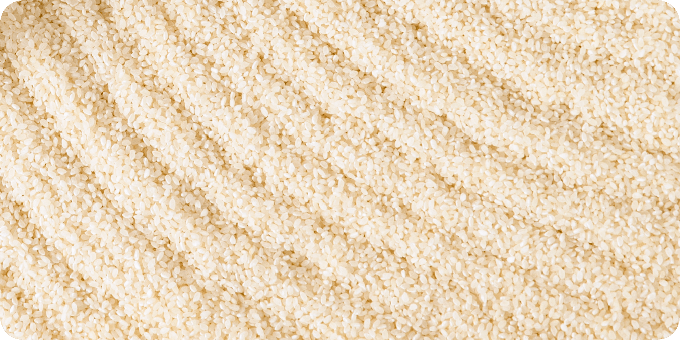 Seasoning Effects of Mirin