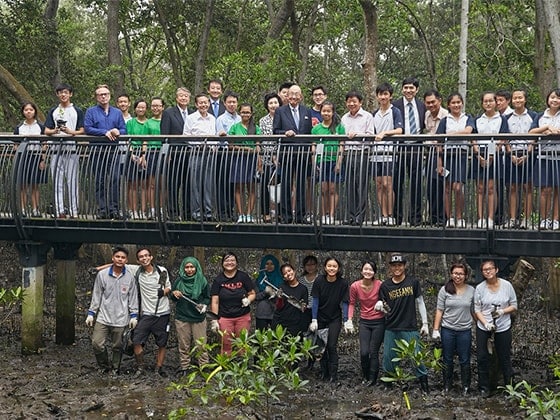 Planting activity in Sungei Buloh Wetland Reserve