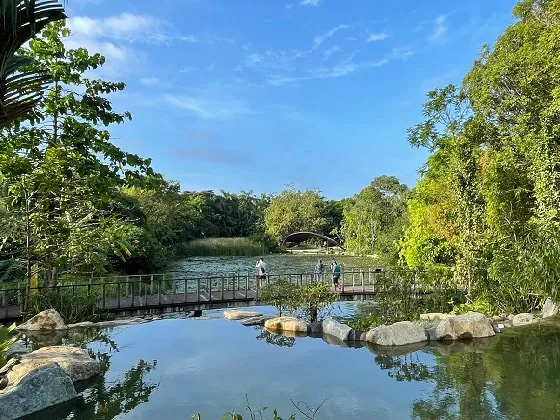 Kingfisher Wetlands