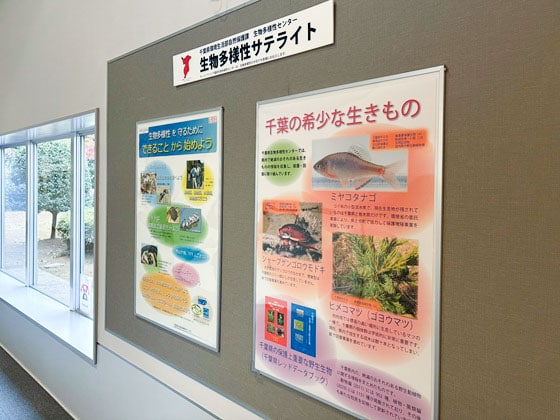 生物多様性サテライト（もの知りしょうゆ館）