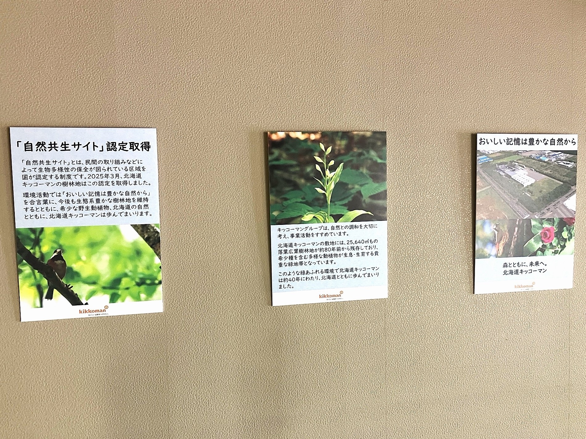 自然共生サイトコーナー