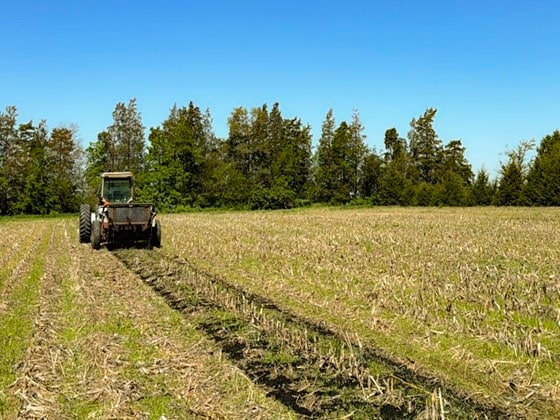 water_environment_42