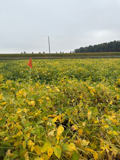 water_environment_43