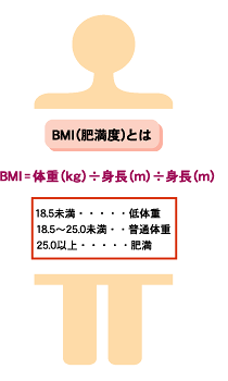 BMI(肥満度)とは
