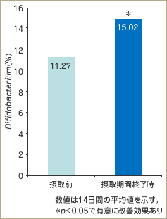 図２　腸内フローラにおけるビフィズス菌の増加