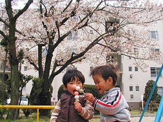 お団子で乾杯！！