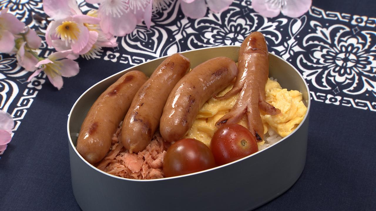 炒り卵のお弁当