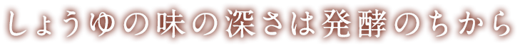 しょうゆの味の深さは発酵のちから