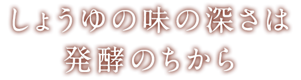 しょうゆの味の深さは発酵のちから