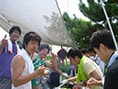 ̉cd@aapII