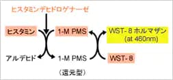 図1. ヒスタミンの測定原理