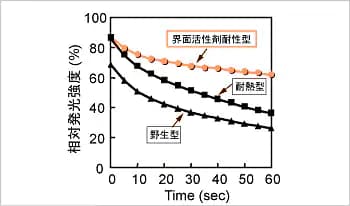 図3. 界面活性剤耐性の向上 0.1％塩化ベンザルコニウム存在下で、発光の経時変化を測定した。界面活性剤耐性変異体は、安定な発光を示した。