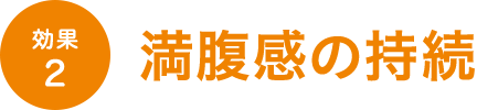効果2 満腹感の持続