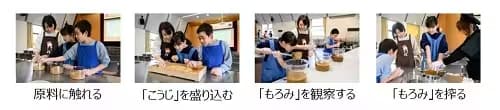 原料に触れる 「こうじ」を盛り込む 「もろみ」を観察する 「もろみ」を搾る