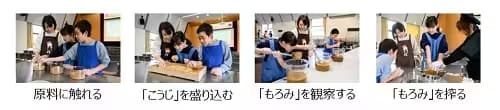 原料に触れる　「こうじ」を盛り込む　「もろみ」を観察する　「もろみ」を搾る