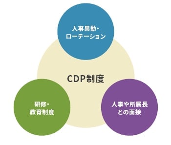 CDP制度 人事異動・ローテーション 研修・教育制度 人事や所属長との面接